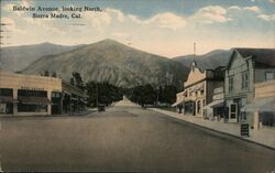 Baldwin Avenue Looking North Postcard