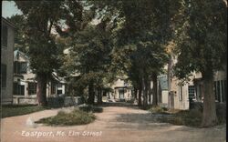 Elm Street Eastport, ME Postcard Postcard Postcard