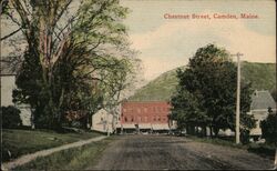 Cehstnut Street Postcard