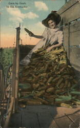 Corn by Gosh - In old Kentucky Postcard