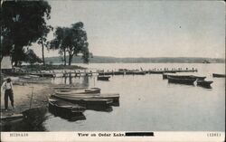 View on Cedar Lake Indiana Postcard Postcard Postcard