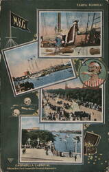 Gasparilla Carnival Postcard