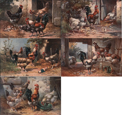 Five Chickens Farmyard Antique Postcard Set Postcard