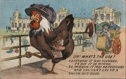 Oh What's The Use? Comic Chicken Postcard