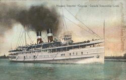 Niagara Steamer "Cayuga", Canada Steamship Lines Postcard