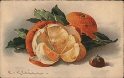 C. Klein Oranges Still Life France Postcard Postcard Postcard