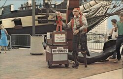 Pirate Organ Grinder Postcard