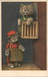 Dressed Cats Postcard Postcard