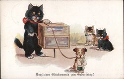 Herzlichen Gluckwunsch zum Geburtstag Cats Birthday Postcard Postcard Postcard