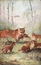 Vixen & Cubs Postcard Postcard