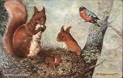 Squirrels & Bullfinch Postcard Postcard