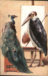 Peacock and a Stork Art Studio Postcard