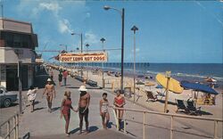 Looking North Along the Boardwalk Postcard