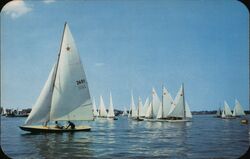 Sailing Long Island Waters Postcard