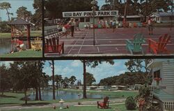 Bay Pines Park Shuffleboard Courts Postcard