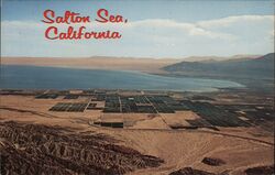 Salton Sea, California Salton City, CA Bob Petley Postcard Postcard Postcard