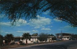 Tropical Court Hotel McAllen, TX Don Bartels Postcard Postcard Postcard