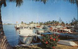 Pompano Beach Yacht Basin Postcard