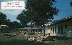 Sunshine Trees Motel Postcard