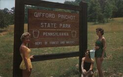 Gifford Pinchot State Park Lewisberry, PA Joel Gray Postcard Postcard Postcard