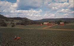 Lush Farm Land Postcard