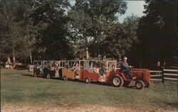 Kiddie Train Black River Lodge Postcard