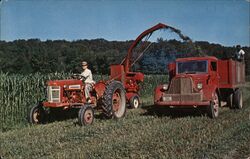 Rapid Harvesting Sudan Grass for Dairy Cattle Postcard Postcard Postcard