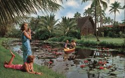 Guests Paddling in Outrigger Canoe Postcard