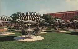 Paddock Beer Garden Atlantic City, NJ Postcard Postcard Postcard