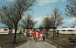 New Romney Caravan Site Postcard