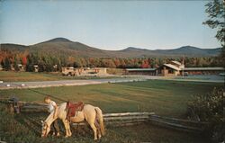 Mendon-Pico Motel Postcard