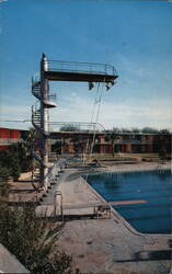 Shamrock Hilton Pool Houston, TX Postcard Postcard Postcard