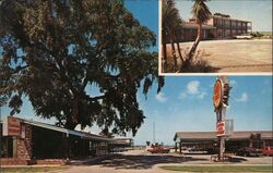 The Carolinian Motel & Restaurant Postcard