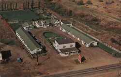 Ripley Motel and Restaurant Postcard