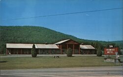 Redwood Motel Cayuta, NY Postcard Postcard Postcard