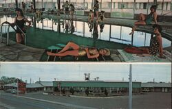 Holiday Motel Pool Lordsburg, NM Postcard Postcard Postcard