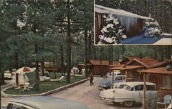 Blue Spruce Motel Cabins Postcard