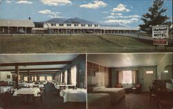 The Charlmont Motor Inn Postcard