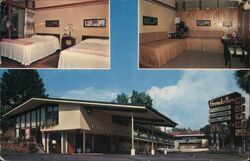 The Gondolier Motel, Tarpon Springs FL Postcard