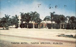 Tarpon Motel Tarpon Springs, FL Postcard Postcard Postcard