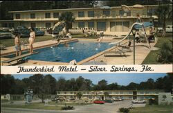 Thunderbird Motel, Pool Silver Springs, FL Jim Malas Postcard Postcard Postcard