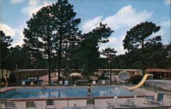 Perry Motor Court Pool Postcard