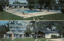 Kentucky Colonel Hotel Court Postcard