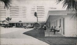 Hibiscus Motel Daytona Beach Postcard