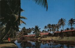 Coco Palms Resort Kapaʻa, HI Postcard Postcard Postcard