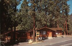 Honey Bear Motel Idyllwild, CA Bob Gray Postcard Postcard Postcard