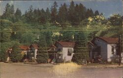 White Motel Garberville CA Postcard