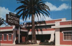 Palms Motor Hotel Postcard