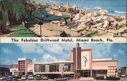 The Fabulous Driftwood Motel Postcard