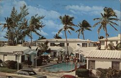 Abbott Terrace Motel Swimming Pool Postcard